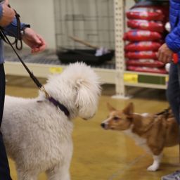 photograph by PeterW